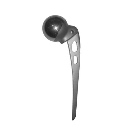 Austin Moore Hip Prosthesis | GSTC.com