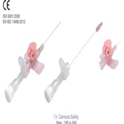 IV Cannula