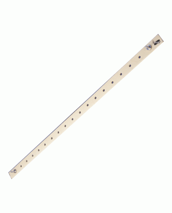 Pendulum Simple