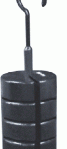 Weights Iron