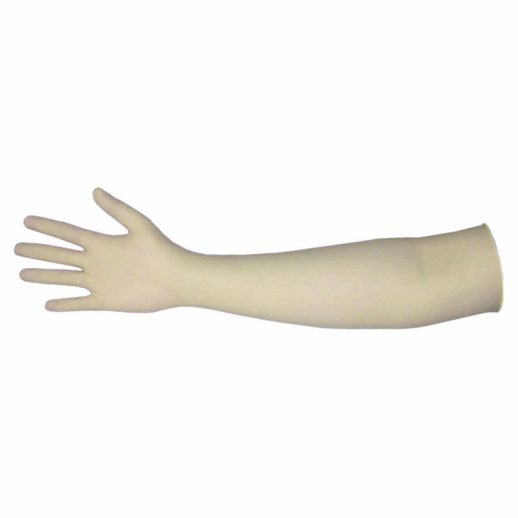 Gynocological Glove 1 Min